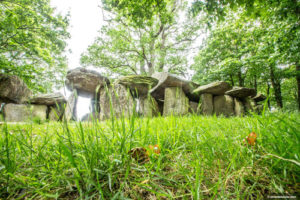 Le Dolmen de la Roche aux Fées à Essé