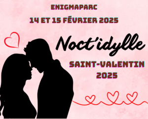 Silhouettes d'un homme et d'une femme enlacés sur un fond rose avec des coeurs. Texte : "Enigmaparc - 14 et 15 février 2025 - Noct'idylle - Saint-Valentin 2025"