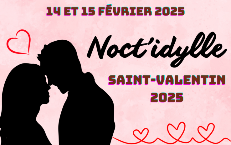 Silhouettes d'un homme et d'une femme enlacés sur un fond rose avec des coeurs. Texte : "Enigmaparc - 14 et 15 février 2025 - Noct'idylle - Saint-Valentin 2025"